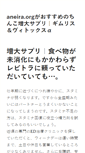 Mobile Screenshot of aneira.org